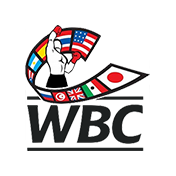 World Boxing Championship